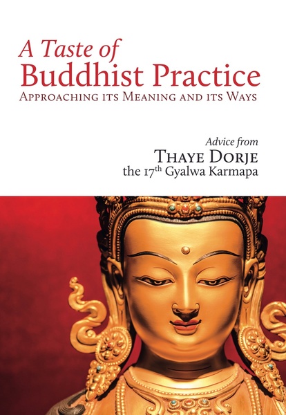 A Taste of Buddhist Practice