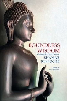Boundless Wisdom: A Mahamudra Practice Manual