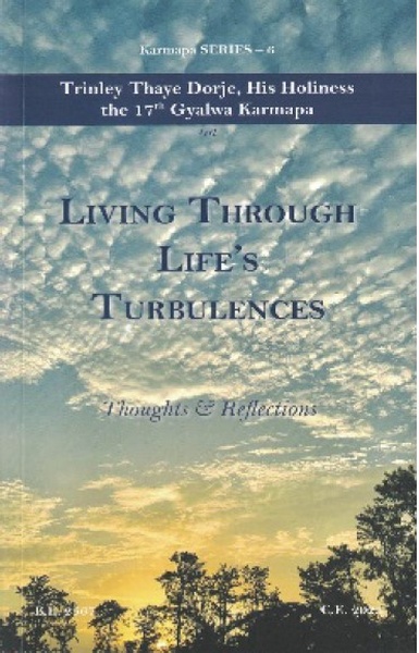 Living Through Life’s Turbulences: