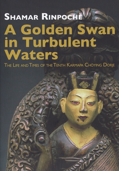 A Golden Swan in Turbulent Waters