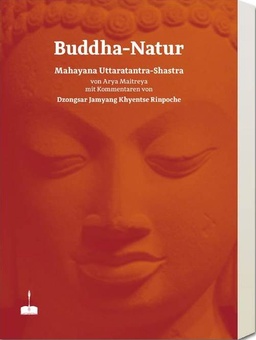 Buddha-Natur (Paperback)