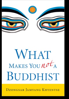 What makes you not a buddhist