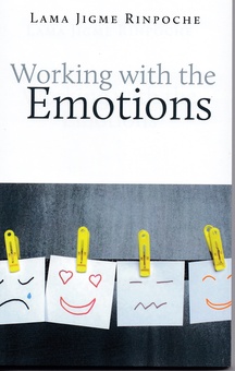Working With The Emotions