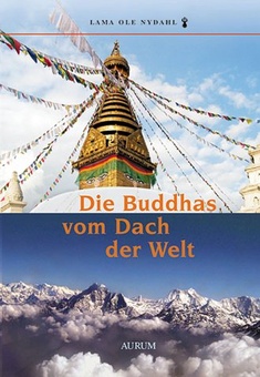 Die Buddhas vom Dach der Welt