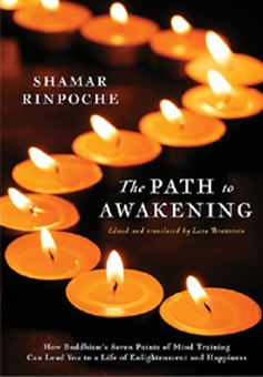 The path to awakening (Paperback)